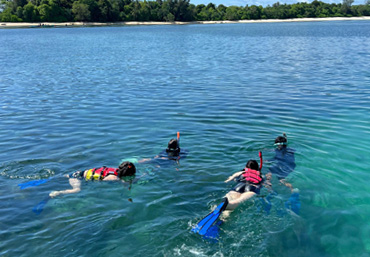 All Inclusive Ultimate Circle Island Day with Lunch