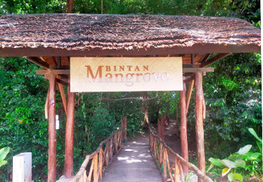 All Inclusive Ultimate Circle Island Day with Lunch