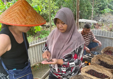 All Inclusive Ultimate Circle Island Day with Lunch