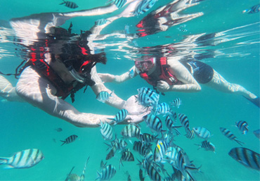 All Inclusive Ultimate Circle Island Day with Lunch